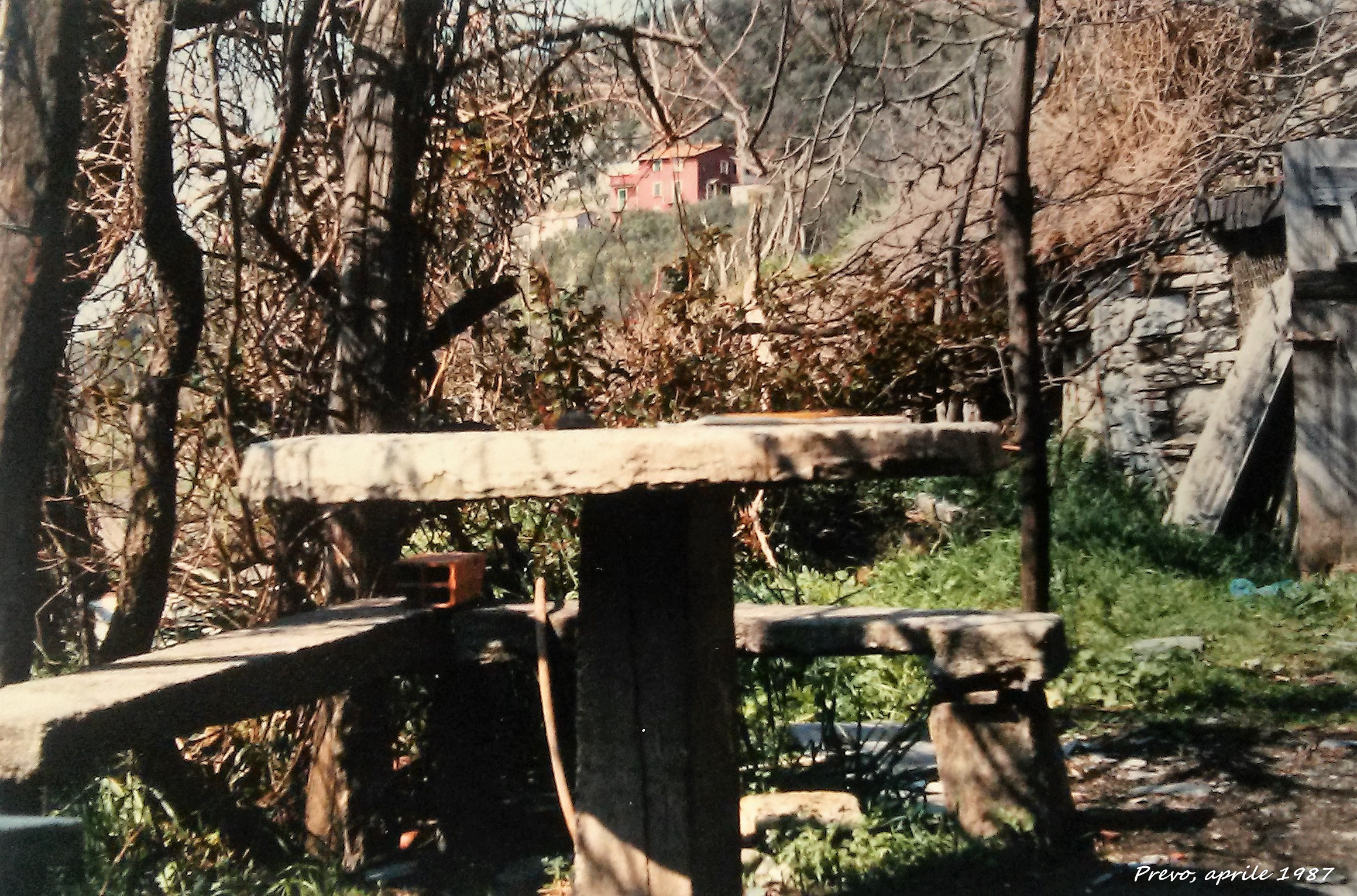 Prevo, on 1987 - 2
