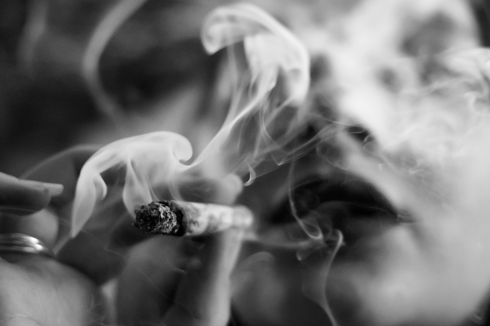 Tobacconist