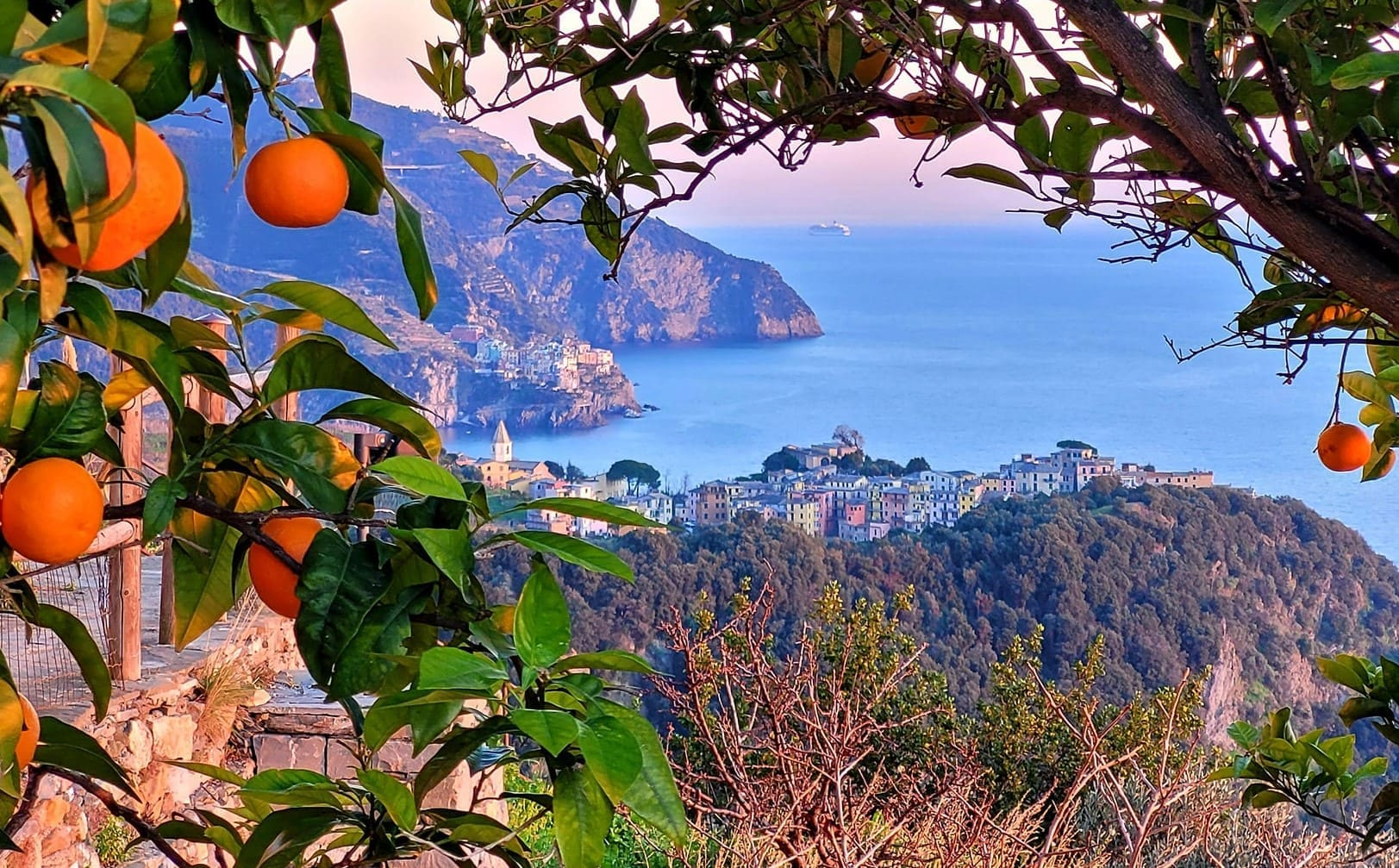 The heart of Cinque Terre - Prevo - Vernazza