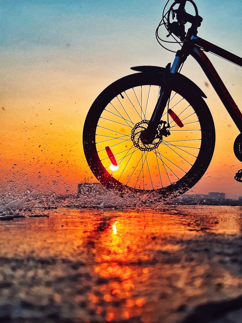 Mountain Bike Trails