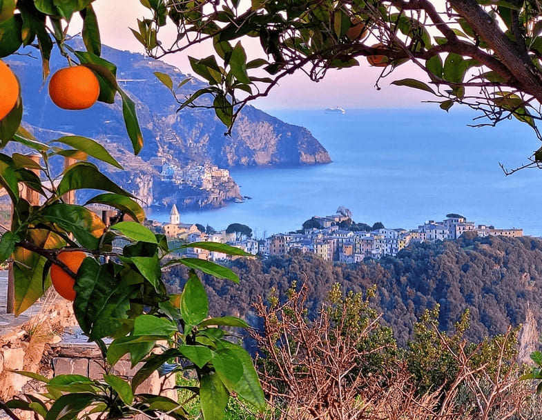 Cinque Terre National Park